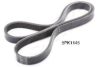 ASHIKA 112-5PK1145 V-Ribbed Belts